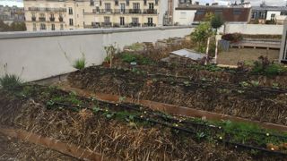 30 millions d’euros du Plan de relance de l’économie seront destinés à des projets d’agriculture urbaine ou de jardins partagés. ©P. Fayolle 